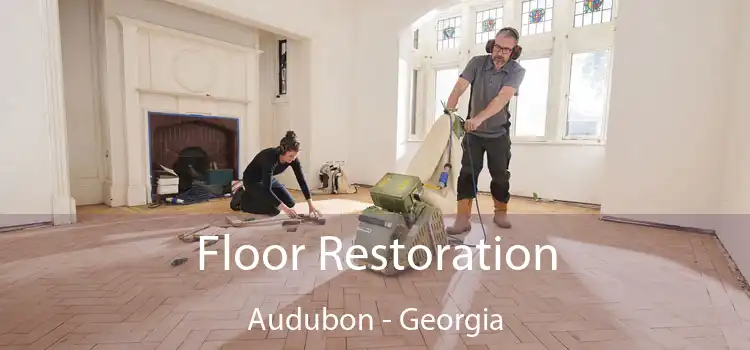 Floor Restoration Audubon - Georgia