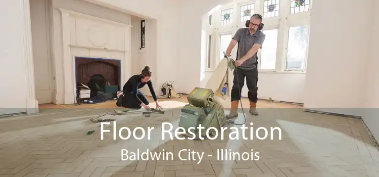 Floor Restoration Baldwin City - Illinois