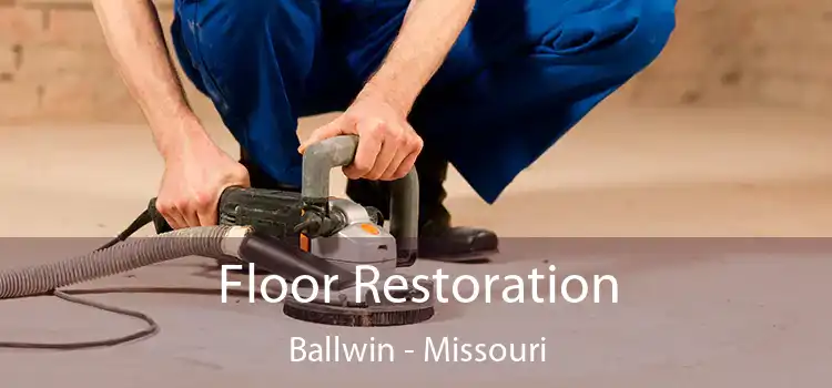 Floor Restoration Ballwin - Missouri