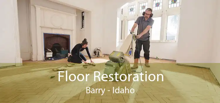 Floor Restoration Barry - Idaho