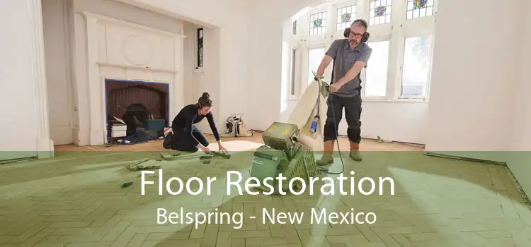 Floor Restoration Belspring - New Mexico