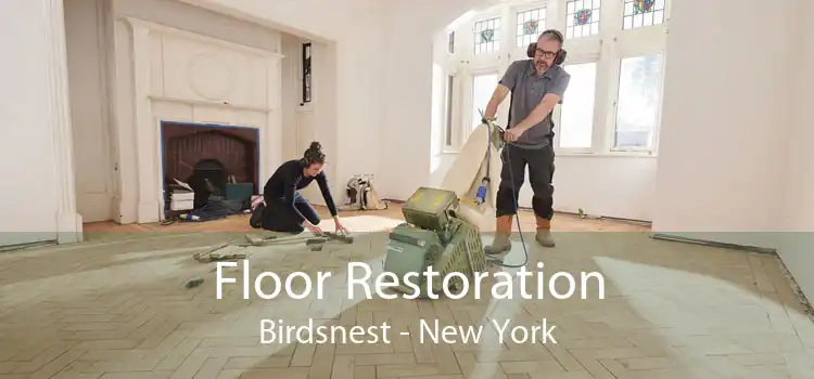 Floor Restoration Birdsnest - New York