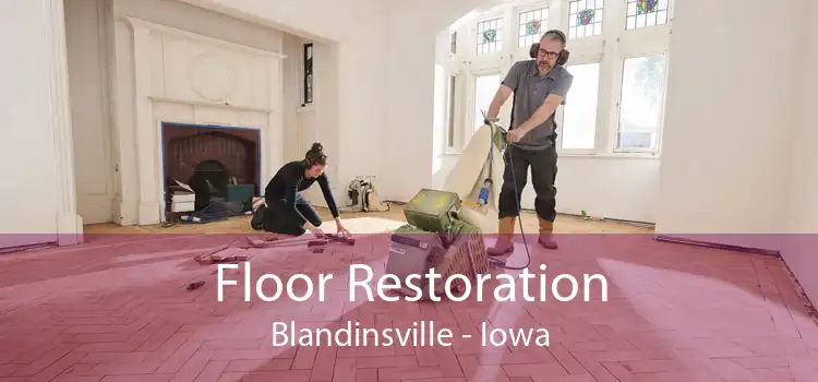 Floor Restoration Blandinsville - Iowa