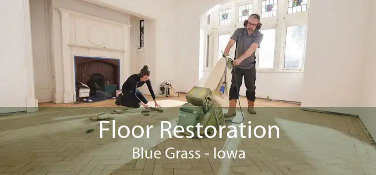Floor Restoration Blue Grass - Iowa