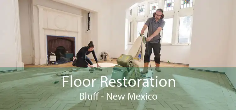 Floor Restoration Bluff - New Mexico