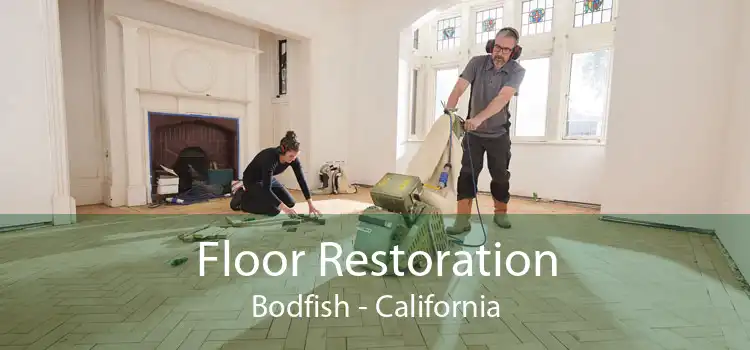 Floor Restoration Bodfish - California