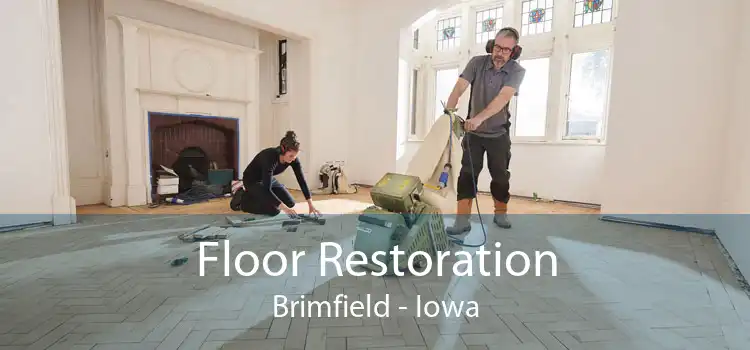 Floor Restoration Brimfield - Iowa