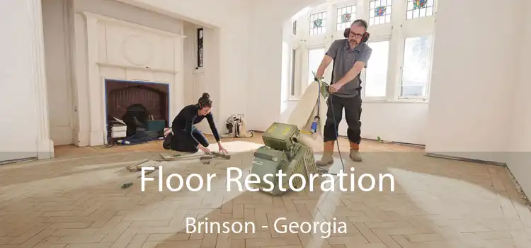 Floor Restoration Brinson - Georgia