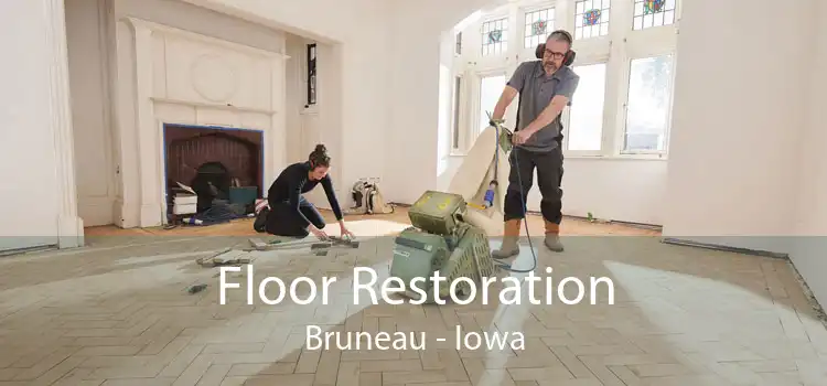 Floor Restoration Bruneau - Iowa