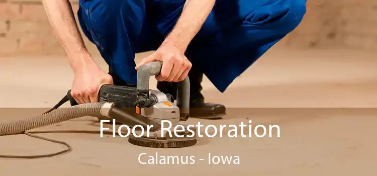 Floor Restoration Calamus - Iowa