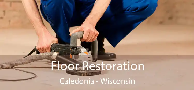 Floor Restoration Caledonia - Wisconsin