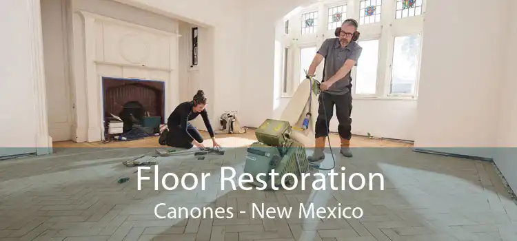 Floor Restoration Canones - New Mexico
