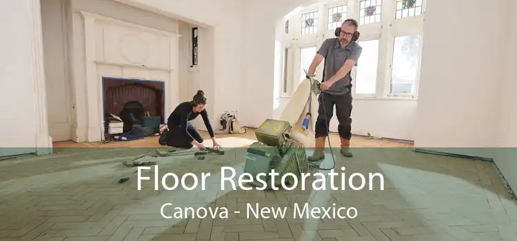 Floor Restoration Canova - New Mexico
