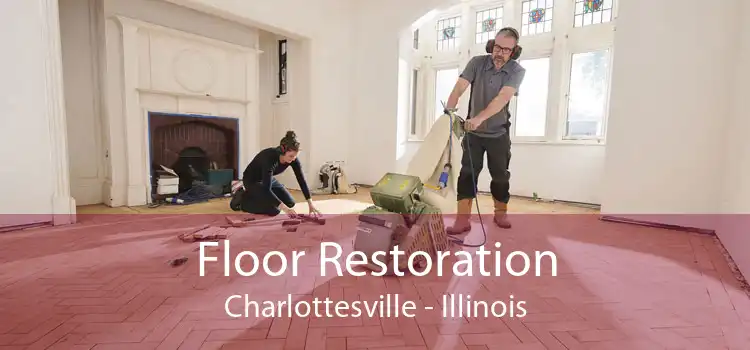 Floor Restoration Charlottesville - Illinois