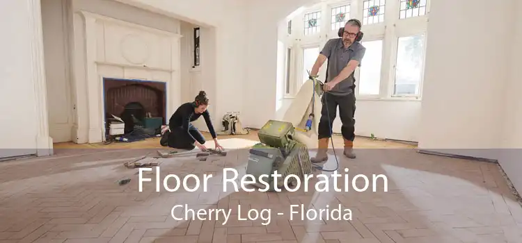 Floor Restoration Cherry Log - Florida