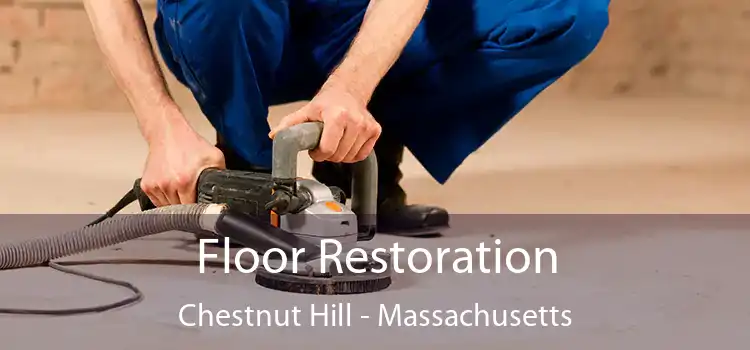 Floor Restoration Chestnut Hill - Massachusetts