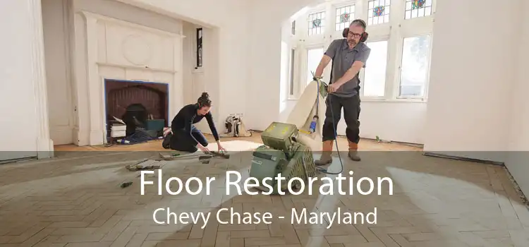Floor Restoration Chevy Chase - Maryland