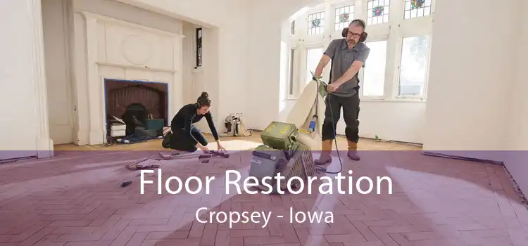 Floor Restoration Cropsey - Iowa