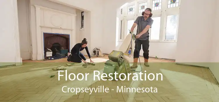 Floor Restoration Cropseyville - Minnesota