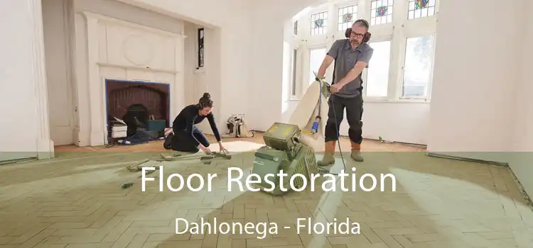 Floor Restoration Dahlonega - Florida