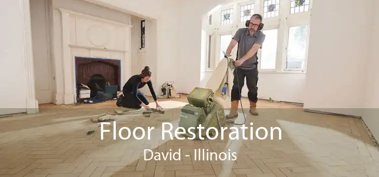 Floor Restoration David - Illinois