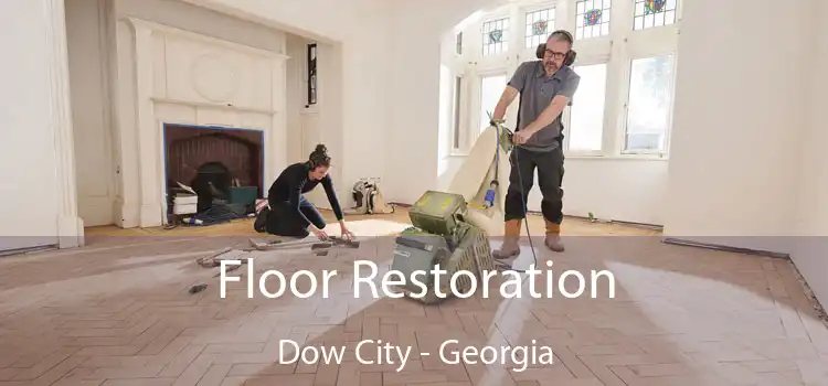 Floor Restoration Dow City - Georgia