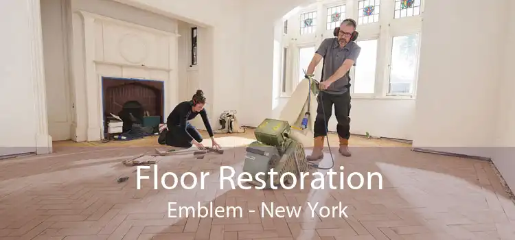 Floor Restoration Emblem - New York