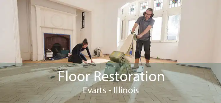 Floor Restoration Evarts - Illinois