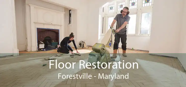Floor Restoration Forestville - Maryland
