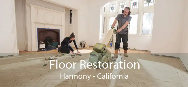 Floor Restoration Harmony - California