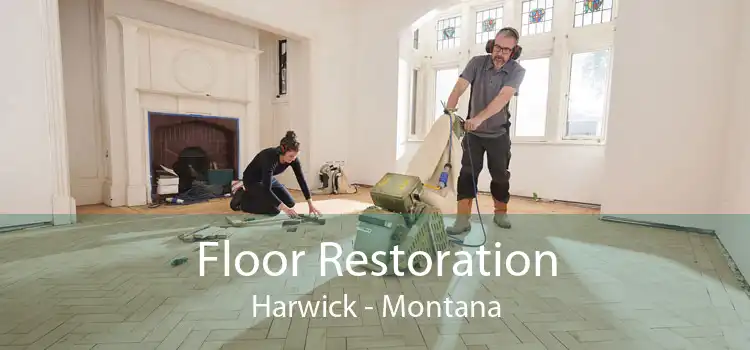 Floor Restoration Harwick - Montana