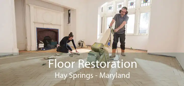 Floor Restoration Hay Springs - Maryland