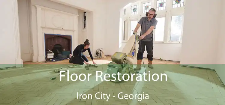 Floor Restoration Iron City - Georgia