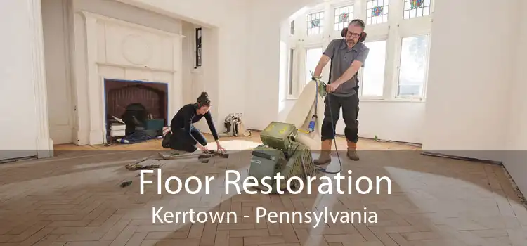 Floor Restoration Kerrtown - Pennsylvania