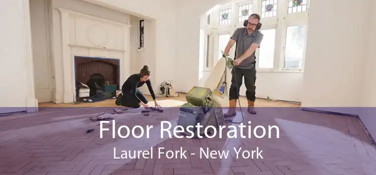 Floor Restoration Laurel Fork - New York