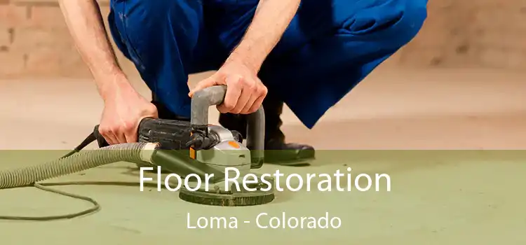 Floor Restoration Loma - Colorado