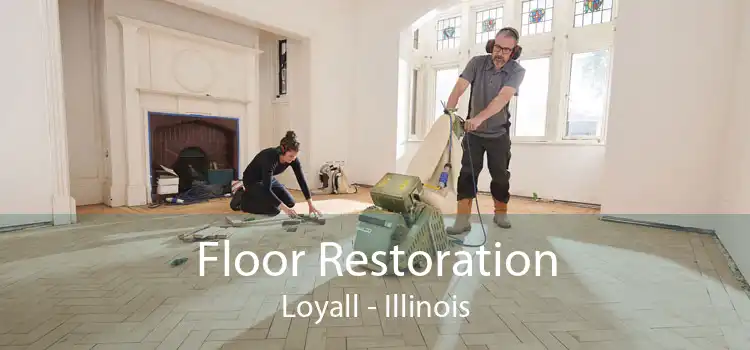 Floor Restoration Loyall - Illinois