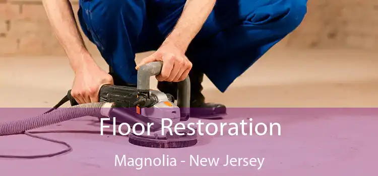 Floor Restoration Magnolia - New Jersey