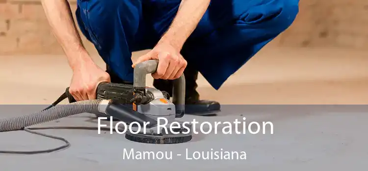 Floor Restoration Mamou - Louisiana