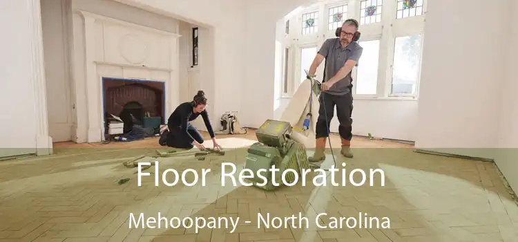 Floor Restoration Mehoopany - North Carolina