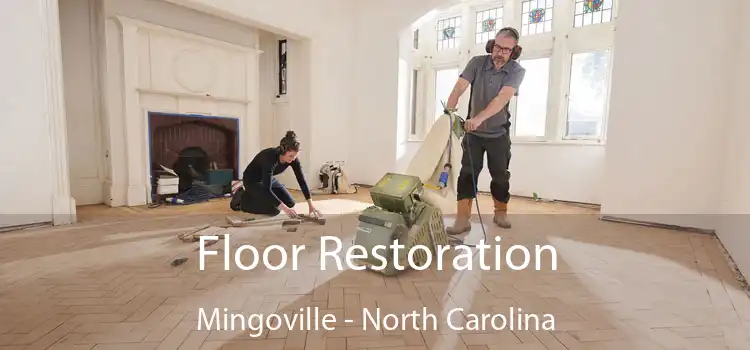 Floor Restoration Mingoville - North Carolina