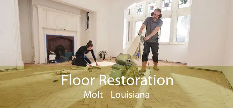 Floor Restoration Molt - Louisiana