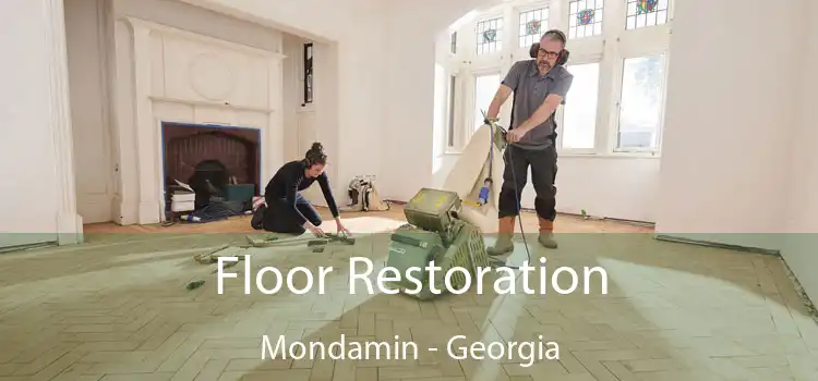 Floor Restoration Mondamin - Georgia