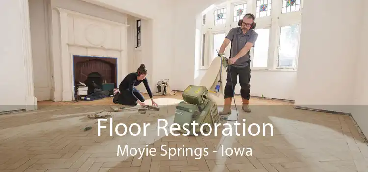 Floor Restoration Moyie Springs - Iowa