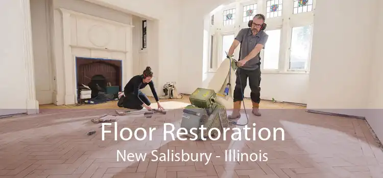 Floor Restoration New Salisbury - Illinois