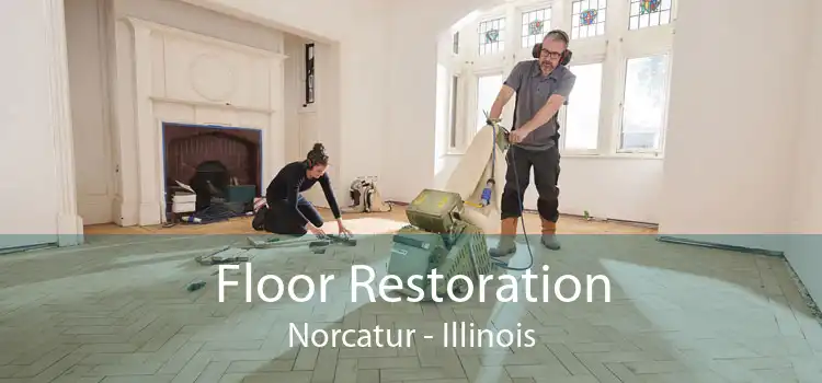 Floor Restoration Norcatur - Illinois