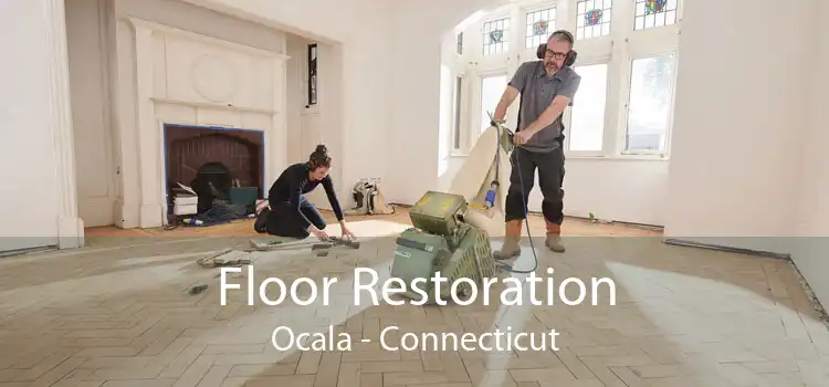 Floor Restoration Ocala - Connecticut