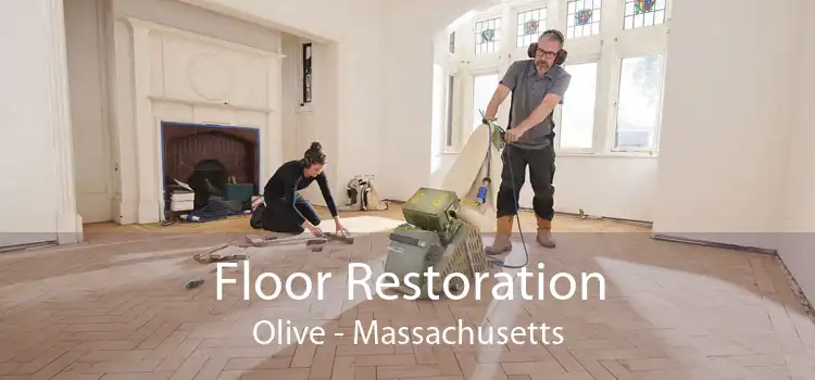 Floor Restoration Olive - Massachusetts