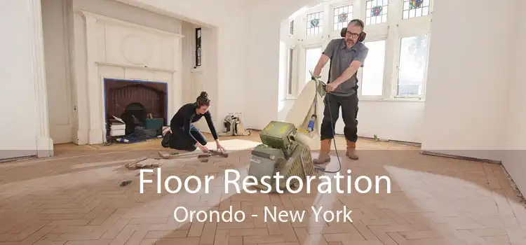 Floor Restoration Orondo - New York