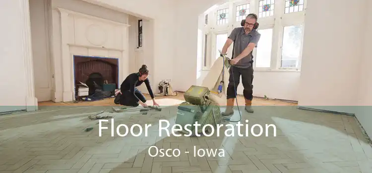 Floor Restoration Osco - Iowa